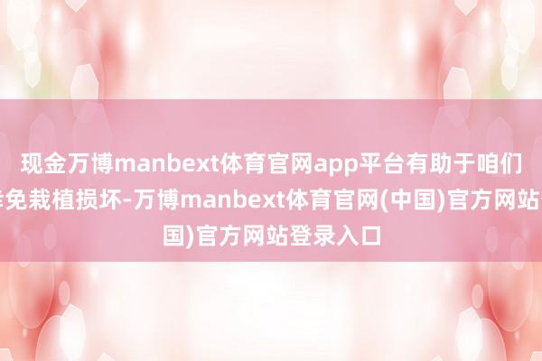 现金万博manbext体育官网app平台有助于咱们更好地幸免栽植损坏-万博manbext体育官网(中国)官方网站登录入口