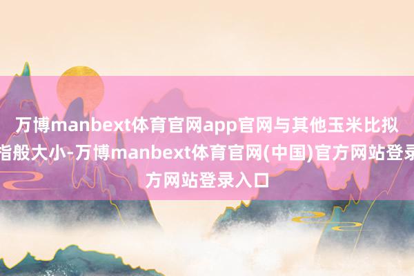 万博manbext体育官网app官网与其他玉米比拟像拇指般大小-万博manbext体育官网(中国)官方网站登录入口